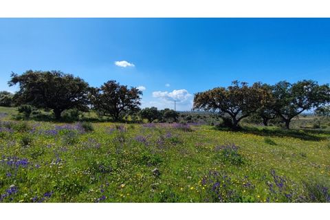 Helårsgrund i Moura, Beja, Moura - € 40.000 | Ref: JG2259 - foto 4