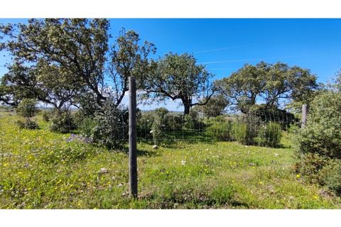 Helårsgrund i Moura, Beja, Moura - € 40.000 | Ref: JG2259 - foto 5