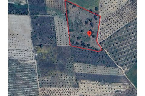 Helårsgrund i Moura, Beja, Moura - € 40.000 | Ref: JG2259 - foto 6