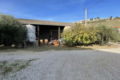 Leilighet i Pineto, Teramo, Pineto - € 230 000 | Ref: 26595342 - foto 49