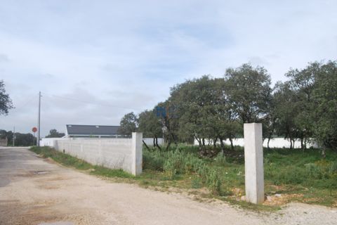 Terra a Fatima, Santarem, Fatima - € 130.000 | Ref: T1100_2023 - foto 2
