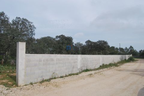 Terra a Fatima, Santarem, Fatima - € 130.000 | Ref: T1100_2023 - foto 6
