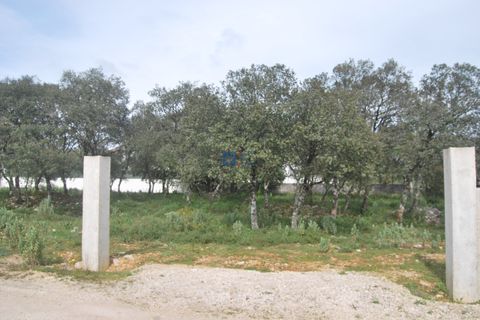 Terra a Fatima, Santarem, Fatima - € 130.000 | Ref: T1100_2023 - foto 7