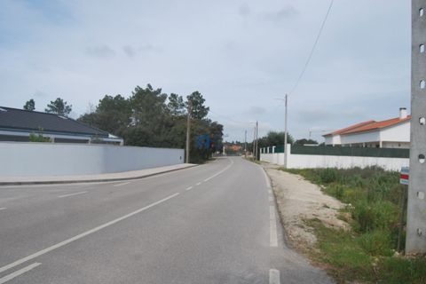 Terra a Fatima, Santarem, Fatima - € 130.000 | Ref: T1100_2023 - foto 9
