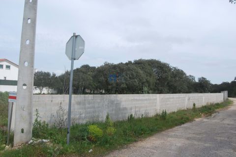 Terra a Fatima, Santarem, Fatima - € 130.000 | Ref: T1100_2023 - foto 11