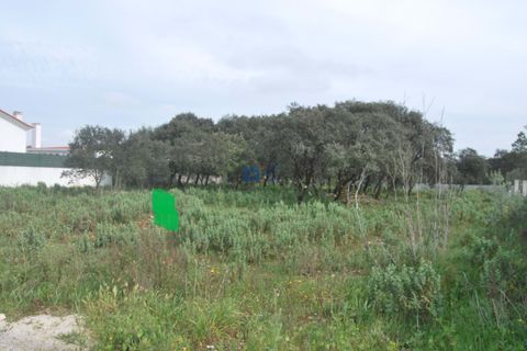 Terra a Fatima, Santarem, Fatima - € 130.000 | Ref: T1100_2023 - foto 12
