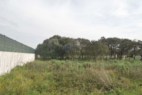 Terra a Fatima, Santarem, Fatima - € 130.000 | Ref: T1100_2023 - foto 13