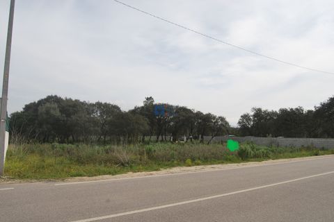 Terra a Fatima, Santarem, Fatima - € 130.000 | Ref: T1100_2023 - foto 14