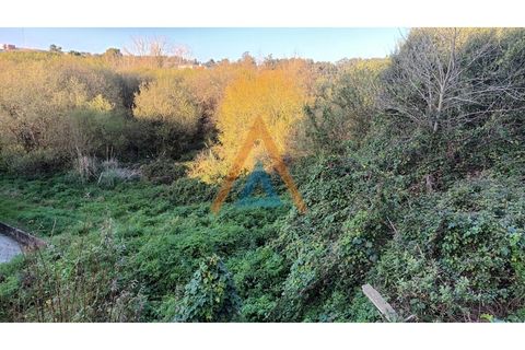 Helårsgrund i Espinho, Aveiro, Espinho - € 950.000 | Ref: TER_1545 - foto 6