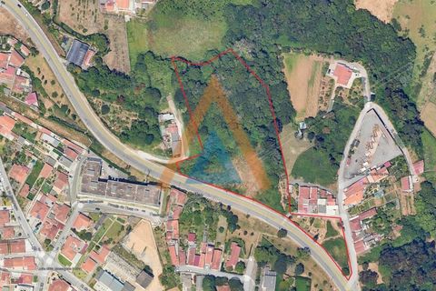 Helårsgrund i Espinho, Aveiro, Espinho - € 950.000 | Ref: TER_1545 - foto 3