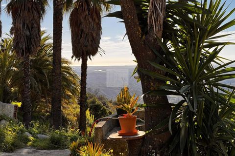 Masia a Monchique, Faro, Monchique - € 350.000 | Ref: 1752 - foto 1