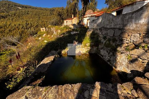 Masia a Monchique, Faro, Monchique - € 350.000 | Ref: 1752 - foto 7