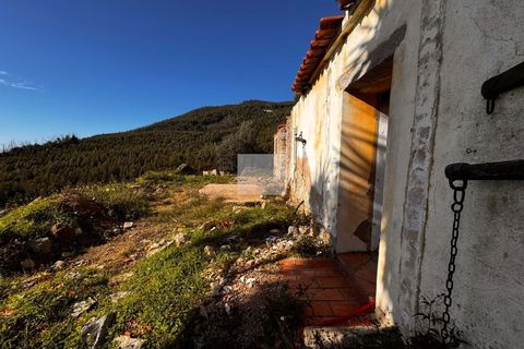 Masia a Monchique, Faro, Monchique - € 350.000 | Ref: 1752 - foto 12
