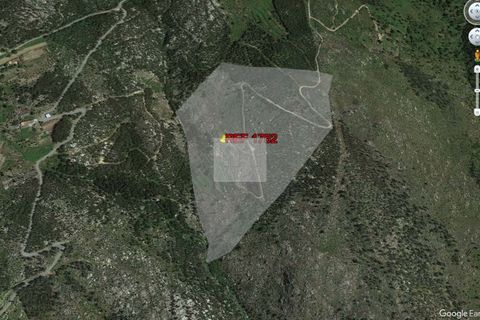 Masia a Monchique, Faro, Monchique - € 350.000 | Ref: 1752 - foto 13