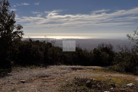Masia a Monchique, Faro, Monchique - € 350.000 | Ref: 1752 - foto 14