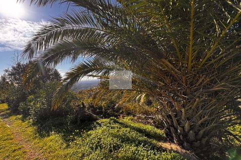 Masia a Monchique, Faro, Monchique - € 350.000 | Ref: 1752 - foto 19