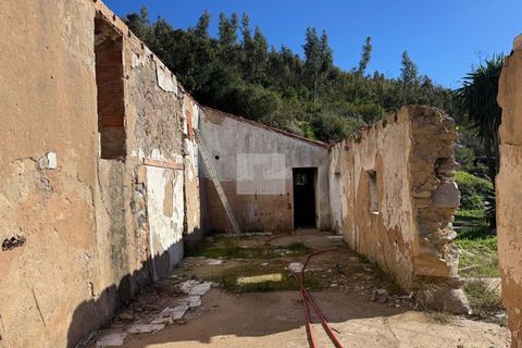 Masia a Monchique, Faro, Monchique - € 350.000 | Ref: 1752 - foto 28