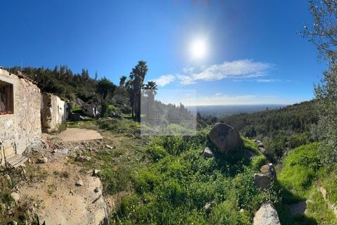 Masia a Monchique, Faro, Monchique - € 350.000 | Ref: 1752 - foto 31