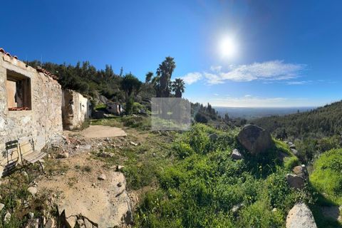 Masia a Monchique, Faro, Monchique - € 350.000 | Ref: 1752 - foto 36