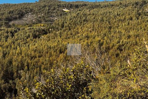 Masia a Monchique, Faro, Monchique - € 350.000 | Ref: 1752 - foto 38