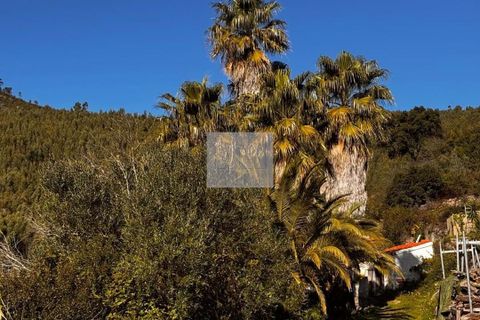 Masia a Monchique, Faro, Monchique - € 350.000 | Ref: 1752 - foto 40