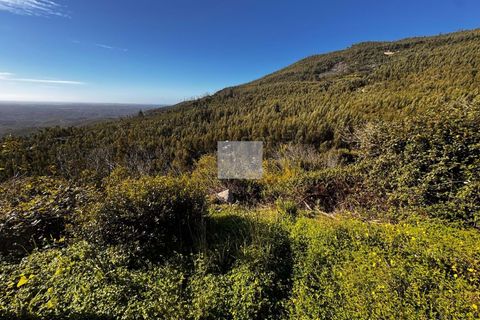 Masia a Monchique, Faro, Monchique - € 350.000 | Ref: 1752 - foto 41