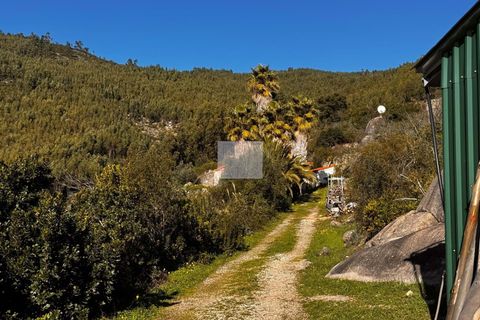 Masia a Monchique, Faro, Monchique - € 350.000 | Ref: 1752 - foto 45