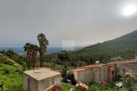 Masia a Monchique, Faro, Monchique - € 350.000 | Ref: 1752 - foto 48