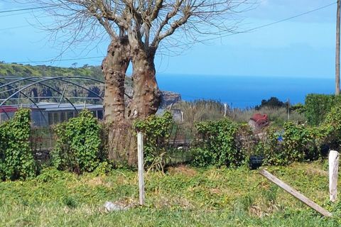 Helårsgrund i Vila do Porto, Santa Maria, Vila do Porto - € 80.000 | Ref: 1288 - foto 8