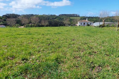 Helårsgrund i Vila do Porto, Santa Maria, Vila do Porto - € 80.000 | Ref: 1288 - foto 11