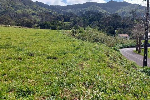 Helårsgrund i Vila do Porto, Santa Maria, Vila do Porto - € 80.000 | Ref: 1288 - foto 14