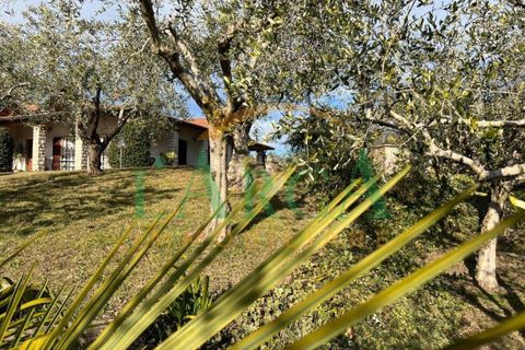 Villa a Adro, Brescia, Adro - € 700.000 | Ref: 888-01 - foto 21