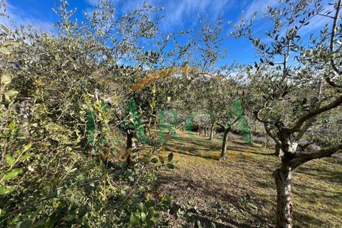 Villa a Adro, Brescia, Adro - € 700.000 | Ref: 888-01 - foto 22