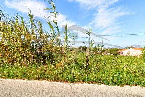 Helårsgrund i Tavira, Faro, Tavira - € 500.000 | Ref: SÒL469 - foto 7