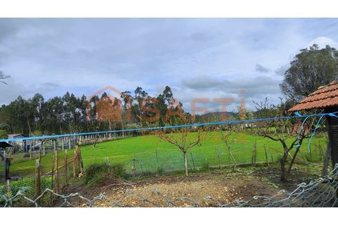 Villa i Ponte de Lima, Viana do Castelo, Ponte de Lima - € 120.000 | Ref: SAFTI:007278 - foto 4