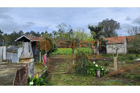 Villa i Ponte de Lima, Viana do Castelo, Ponte de Lima - € 120.000 | Ref: SAFTI:007278 - foto 5
