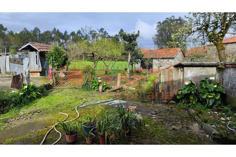 Villa i Ponte de Lima, Viana do Castelo, Ponte de Lima - € 120.000 | Ref: SAFTI:007278 - foto 12