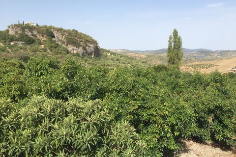 Hus på landet i Zahara De La Sierra, Cadiz - foto 5