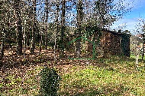 Ruïna a Amonde, Viana do Castelo, Amonde - € 75.000 | Ref: 2004 - foto 8