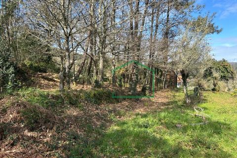 Ruïna a Amonde, Viana do Castelo, Amonde - € 75.000 | Ref: 2004 - foto 9