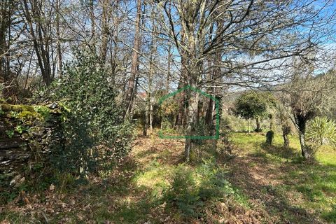 Ruïna a Amonde, Viana do Castelo, Amonde - € 75.000 | Ref: 2004 - foto 10