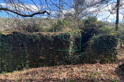 Ruïna a Amonde, Viana do Castelo, Amonde - € 75.000 | Ref: 2004 - foto 11