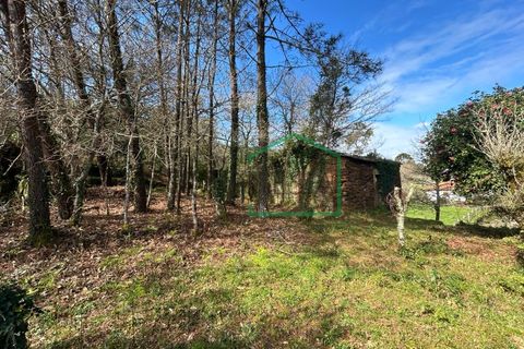 Ruïna a Amonde, Viana do Castelo, Amonde - € 75.000 | Ref: 2004 - foto 12