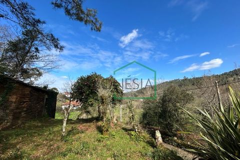 Ruïna a Amonde, Viana do Castelo, Amonde - € 75.000 | Ref: 2004 - foto 13