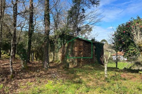 Ruïna a Amonde, Viana do Castelo, Amonde - € 75.000 | Ref: 2004 - foto 15