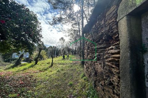 Ruïna a Amonde, Viana do Castelo, Amonde - € 75.000 | Ref: 2004 - foto 16