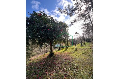 Ruïna a Amonde, Viana do Castelo, Amonde - € 75.000 | Ref: 2004 - foto 18