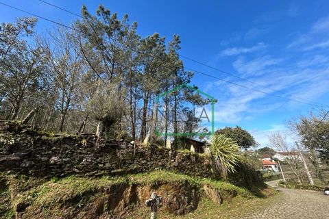 Ruïna a Amonde, Viana do Castelo, Amonde - € 75.000 | Ref: 2004 - foto 20