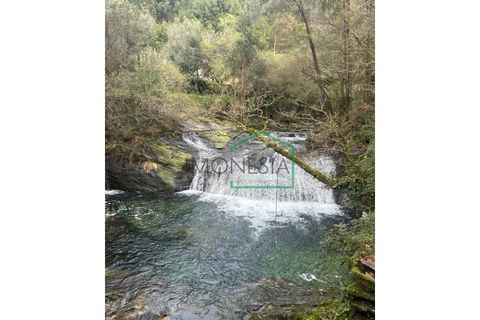 Ruïna a Amonde, Viana do Castelo, Amonde - € 75.000 | Ref: 2004 - foto 22