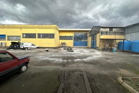 Erhvervsejendom i Massa, Massa and Carrara, Massa - € 1.600.000 | Ref: 3309 - foto 1